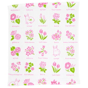 ͂񂩂 sN̂  s 낿   {   TN o `[bv  RXX z  K[x  ҂ sN  w AE ސE Mtg