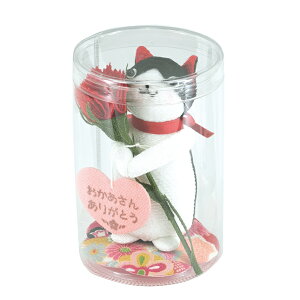 ߂VсE̓lREs낿 {XEVbvyyMt_zyyMt_̂z