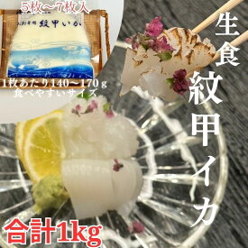 リピーター続出！イカ いか 市場直送 送料無料 紋甲いか 紋甲イカ 下処理不要 1kg 大容量 生食可 お造り 寿司 手巻き ホームパーティー ika