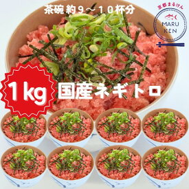 国産 まぐろネギトロ 1kg 500g×2パック マグロ ネギトロ まぐろタタキ 解凍するだけ 簡単 お子様にも大人気 丼ぶり 手巻き ネギトロ巻き 大容量 negitoro