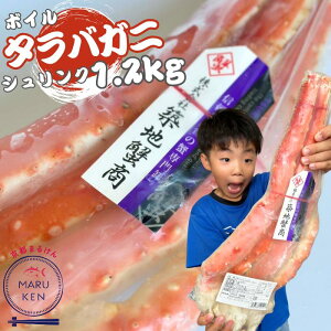 sN[|p8%OFFts[^[lo? 1.2kg {C ^oKj VN ΃Kj  Jj I NNn ~̖o I Jj z[p[eB[ Jjp[eB[ Mtg p shrink