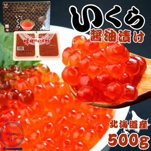 ݖ 500g 250g×2  CN  kCY C̍K ~̖o  Ε   Mtg  VN ґ Ⓚ   v[g s꒼ ikura