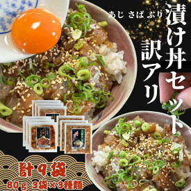 訳アリ 訳あり 漬け丼セット あじ丼 さば丼 ぶり 3種類9袋 天然 ブリ アジ 80g×3種×3袋 売り切れ次第お値打ち価格終了 合計9袋 あじ ぶり 海鮮丼 すぐ調理 時短 時短レシピ 冷凍ストック 店長おすすめ wakeari-zuke-don