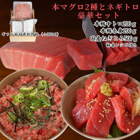 《まだ間に合う！父の日ギフト》本鮪2点とネギトロのセット お歳暮 市場直送 鮪屋おすすめ 魚屋おすすめ 本鮪赤身 本鮪中トロ 200g ネギトロ 市場直送 ギフト 鮪 海鮮丼 母の日 父の日 手巻き寿司 誕生日 贈り物 プレゼント 景品 negitoro-akami-chutoro