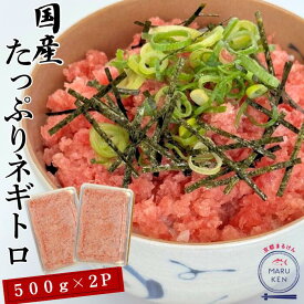 《まだ間に合う！父の日ギフト》国産 まぐろネギトロ 1kg 500g×2パック マグロ ネギトロ まぐろタタキ 解凍するだけ 簡単 お子様にも大人気 丼ぶり 手巻き ネギトロ巻き 大容量 negitoro