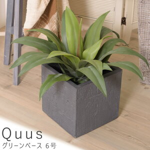 O[x[X 6 v^[ Aؔ O[x[X t[x[X ϗtA ~`  