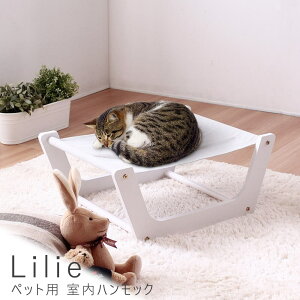 ybgp nbN ybgpnbN ybg xbh xbg  xbh L ChA nbN y    zCg  킢 CeA ybgpi p Lp 