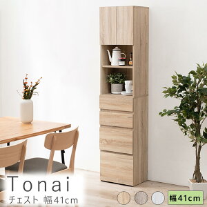 `FXg 41cm h[[ h[`FXg h[bN rO[ Ԏ[ Ԏ[ ʏ[ nC^Cv  rO Lb` [I ؖڒ [Ƌ o