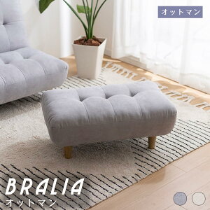 Ibg} `FA Ibg} \t@[ \t@ Xc[ tbgXg ֎q x` ЂƂ肪  RpNg 킢 1l| 40cm [\t@ I l炵 [ tA\t@