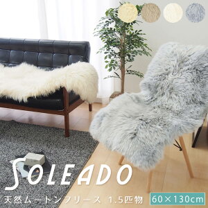 [gt[X 1C 60×130cm VR[g [gO t@[ s[XO 1C 60×130cm C rє100 At@[ zc g  Lv AEghA O }bg 