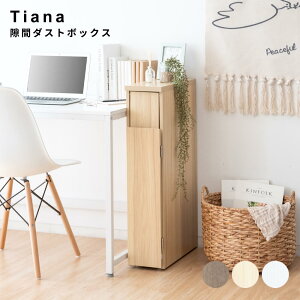 ԃ_Xg{bNX X_Xg{bNX LX^[t 17cm 30L Lb` ʏ  Ԏ[ S~ _XgBOX  X^CbV i` Vv k g C ~