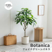 楽天市場】フェイクグリーン パキラ（人工観葉植物｜造花・人工観葉  