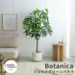 tFCNO[@pL tFCNO[ pL 150cm lHϗtA G}  ϗtA tFCN A hL CeA  i` Vv k g C