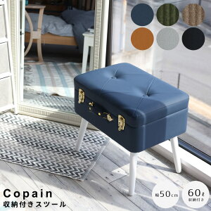 Copian (Rp) [tXc[ [Xc[ Xc[ CeAG gN^Ƌ rO[ VR؋r SDGsƋ gݗăXc[ փXc[ qCeA xbh