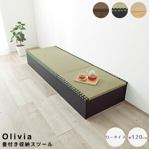 yyVubNtCf[|Cg5{z t[Xc[ 120cm [^Cv [Xc[ [ a_CeA rO[ qƋ [tx` ȃXy[XƋ 