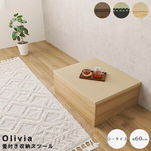 yyVubNtCf[|Cg5{z t[Xc[ 60cm [^Cv [Xc[ [ a_CeA rO[ qƋ [tx` ȃXy[XƋ 