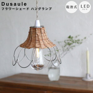 Dusauleif\[jt[VF[h nOv LEDnOv drCg i`CeA AEghAƖ vVF[h |J[{l[gd Ɩ Ɩ