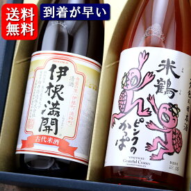 【あす楽対応】【送料無料】伊根満開 ピンクのカッパ 純米酒 セット720ml ×2本セット 飲み比べセット あす楽