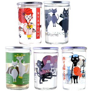 u ɂ񂩂 MAIKO YAIZU ċ ~ { 5{Zbg Jbv y