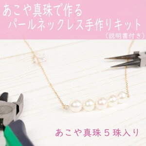 手作りキット 大人 クラフトの人気商品 通販 価格比較 価格 Com 手作りキット 大人 クラフトの人気商品 通販 価格比較 価格 Com