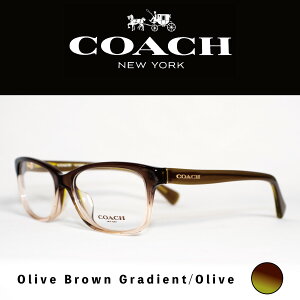 COACH OHC6089F fB[X Kl Of[V t[ I[u J[LO[ O[  J[L uE XNGA t ዾ ɒB ɒBKl  R[` uh ACEFA v