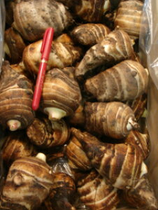 sp󂠂ό`召薳IʒʌI؂񂹂ĂłHׂĂقAICV@(5kg)