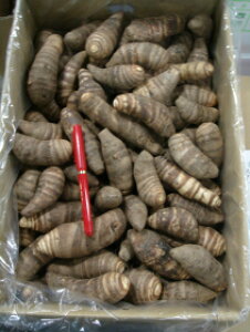 s󂠂肨pʌI؂񂹂ĂłHׂĂقAICVTCYI(5kg)