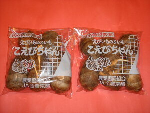 CV薼l싆ɂ̂т@sYnʌIōii؂т(qCV)т̎qłB300gi312jssꒇ