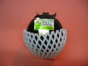 yVNs꒼zyKizAiIΉ֎q1@sIߐYҌi؋̓`؃uh@@΂Ȃ@Vst