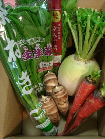 御贈答用にも【送料無料】【新鮮中央市場直送】魅力の野菜セット！京都中央卸売市場中西青果仲卸直送だから新鮮！京都の伝統の味、心、仲卸厳選美味特選京野菜セット真心　ギフト　感謝　野菜セット　レシピ付きだからおうちで京料理が楽しめます！もう京都気分！