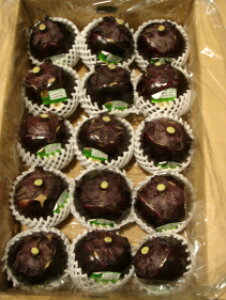 yzyVNs꒼zAî܂܎gcyXAԖXe120gtIߐYҌi̓`؃uhAiIΉ֎q15@Vst@Ȃ@