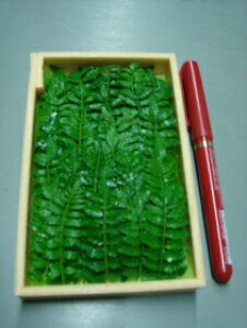 s_VܗpB̍ō؂̉IiꌧY10g80100