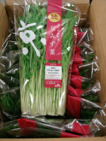 京野菜京ブランド水菜大量お得訳あり1袋約200g20袋入り