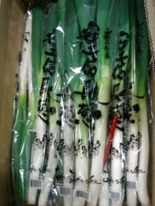 ʌIꌧYMK(M˂)400g2{1܁@MƂÂĔȂI@x̍KłB@MlM