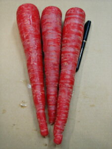 ؋sʌI߂ق܂ɔlQ 1{̔@N@؁B@lQ薼l̋lQ@ʊii1{200Oȏ