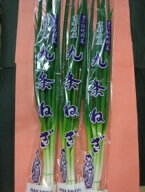【新鮮中央市場直送】京野菜九条ねぎ作りに人生をかけた名人が作った九条ねぎ(約150g)京都中央卸売市場仲…