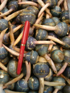 yz؂ꂪōl̂킢!2 LTCYFĂSłsłقǑf炵2LTCY4kg@@@ߗ@@Gρ@y@K