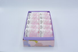 花ごころ10個セット　和菓子詰合せ　送料無料　プレゼント
