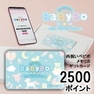 J^OMtg j xr{ J 2500|Cg (PB2500) MemoriCA JJ[h  36365