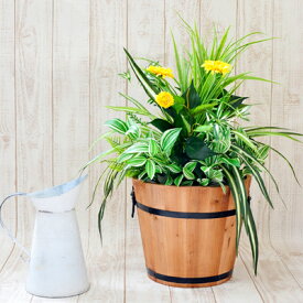 ●【wgp-300】 人工観葉植物 造花 触媒加工品 オフィスグリーン （オフィスや店舗の装飾に） 送料無料 99999