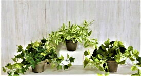 ●造花 テーブルグリーン3点セット 人工観葉植物 [ vdg-1 ] 送料無料 98110