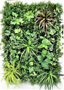  O[pl 88cm×63cm G}Hi [ wzk-26 ]  98126