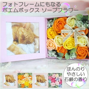 |G{bNX \[vt[ Iׂ2J[ [795985-795978] Ό  Mtg oXtOX ̋  94260