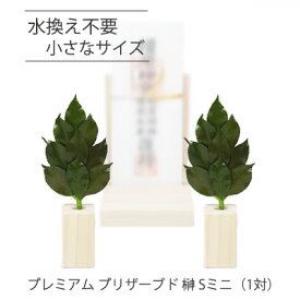 【ポイント3倍 期間限定】 ●(郵送) 水換え不要 枯れない 榊 プリザーブド プレミアム プリザーブド 榊 Sミニ（1対）) A＆K [SKK-009] 送料無料 75681