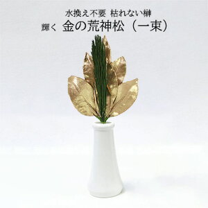 Ԍ (X) ^ J^ ^C ㏸?! Ȃ̂ȂI sv ͂Ȃr_ y ̍r_iꑩj z [ GKJ-001 ] AK  75687