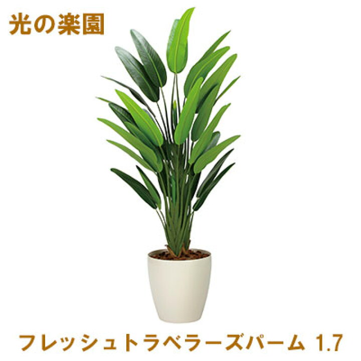 光の楽園 光触媒 人工観葉植物 フェイクグリーンフレッシュ  