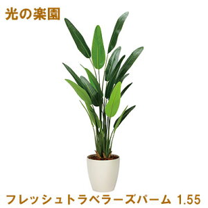 y|Cg3{ Ԍz ̊y (2314A320-30) tbVgx[Yp[ 1.55  95074