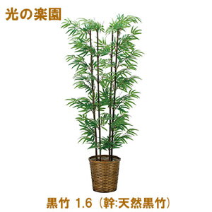 ̊y (2315A300-33) | 1.6 (:VR|)  95077