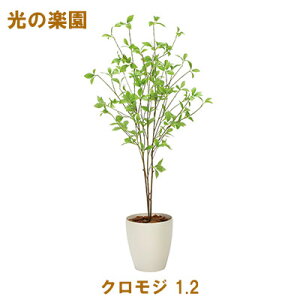 ̊y (2324A200-46) NW 1.2  95085