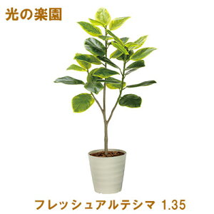 �y�|�C���g3�{ 6/4 20������z�����̊y�� (2332A310-47) �t���b�V���A���e�V�} 1.35 �������� 95092